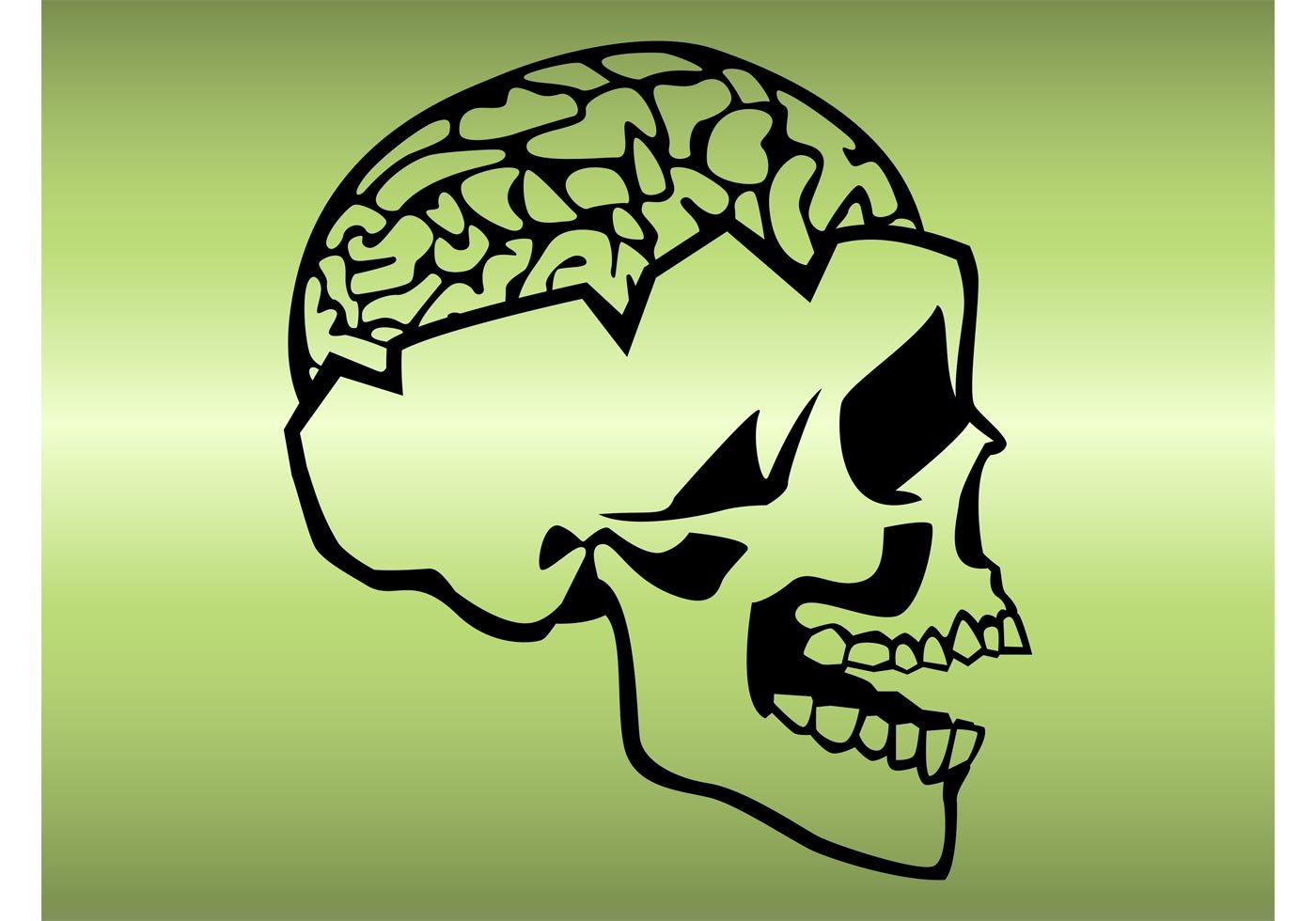 Мозги в черепной коробке. Изображение черепа с мозгом. Череп на аву. Череп вектор.