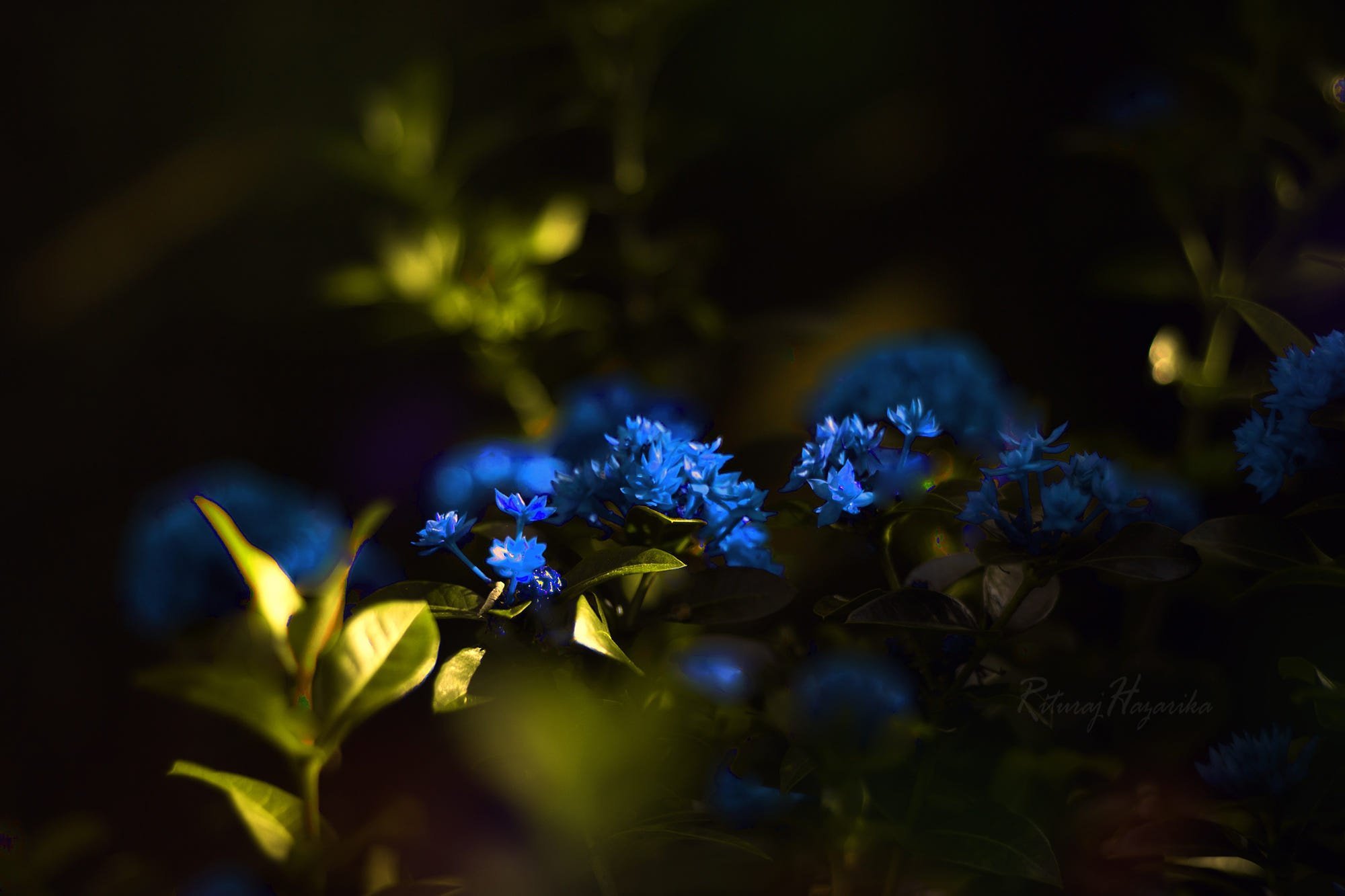 Синий Цвет Перед Сном