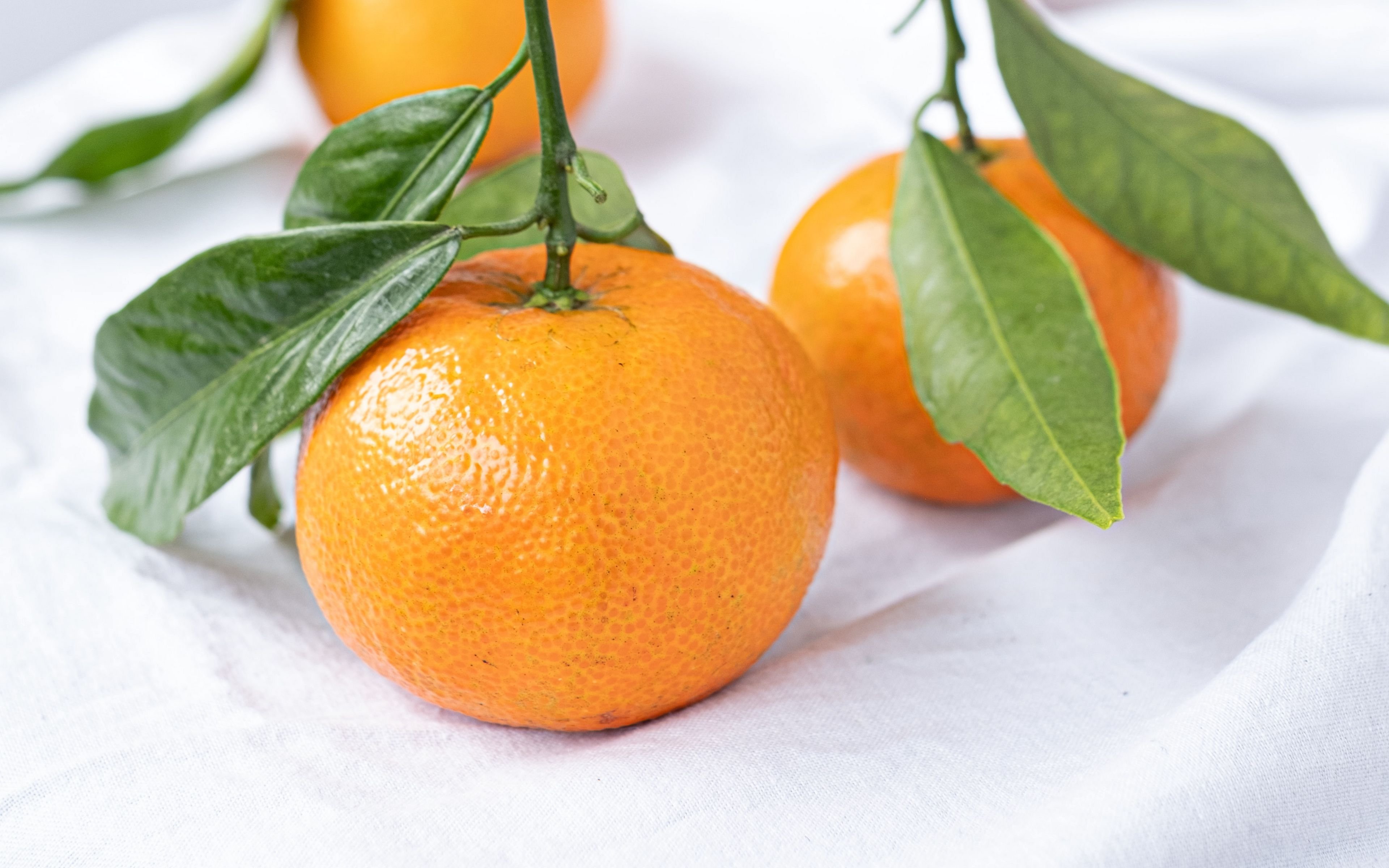 Мандарины п. Мандарин Танжерин зеленый. Танжерин и кумкват. Цитрус мандарин Mandarine. Апельсины с листом.