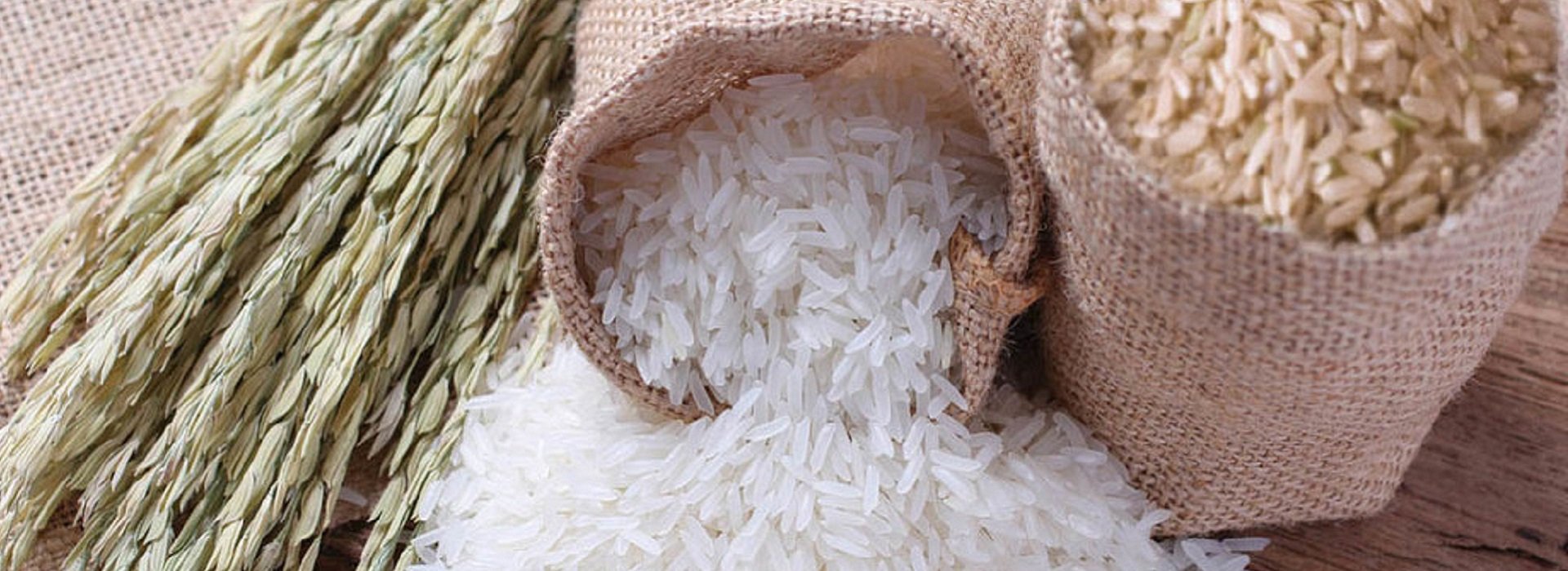 Rice purity. Рис басмати растение. Рис басмати колосок. Рис баннер. Колосья риса.