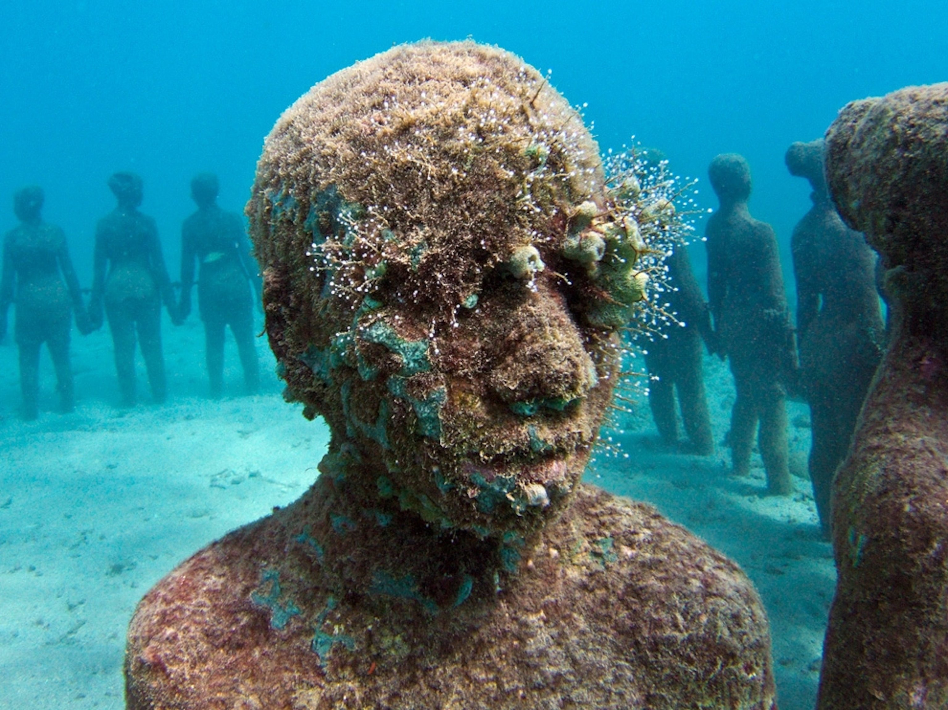 Подводный музей Джейсона де Кайрес Тейлора. Подводный парк скульптур Гренада. Канкун Мексика подводный музей. Подводный музей Айя Напа. На дне океана образуются