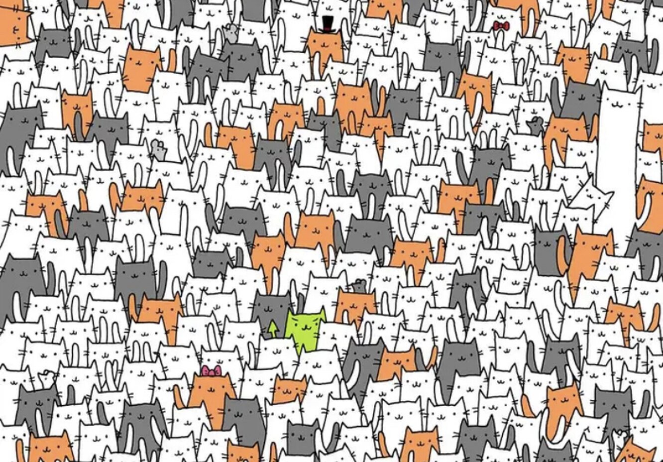 Найдите кого. Головоломка Найди. Найди собаку среди котов. Найди среди котов. Головоломки Найди на картинке.