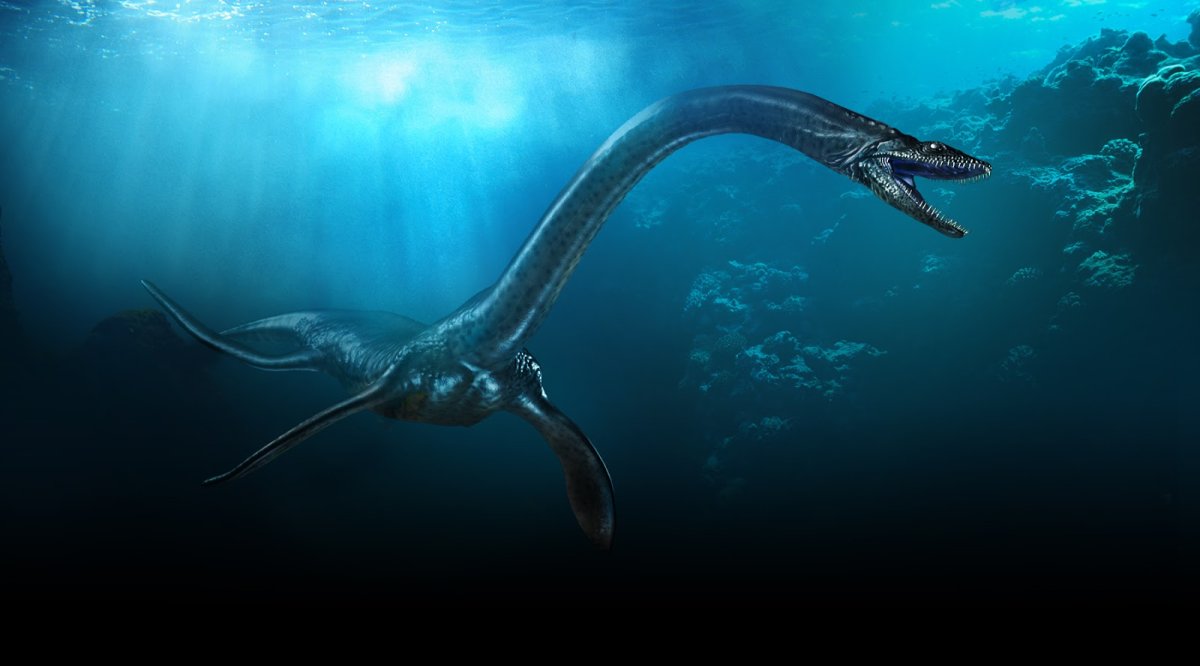 Плезиозавр видео. Эласмозавр. Морские динозавры. Плезиозавр. Подводный динозавр.