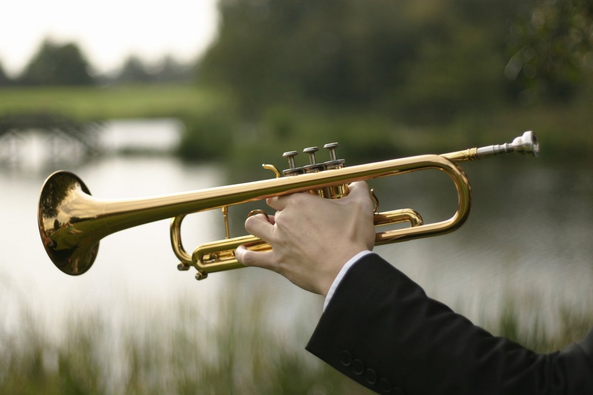 Картинка труба музыкальный инструмент