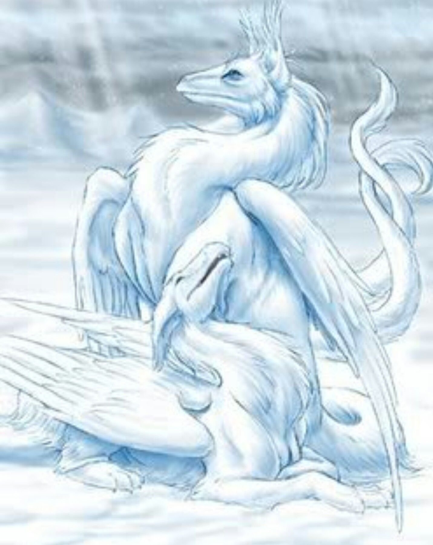 Снежный дракон читать полностью. Снежный дракон. Ледяной дракон. Белый дракон. Зимний дракон.