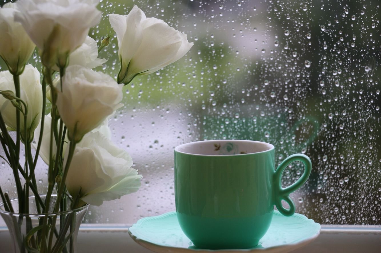 Открытки с дождливым весенним утром. Дождливое утро. Дождливое Весеннее утро. Кофе дождливое утро. Дождь кофе утро цветы.