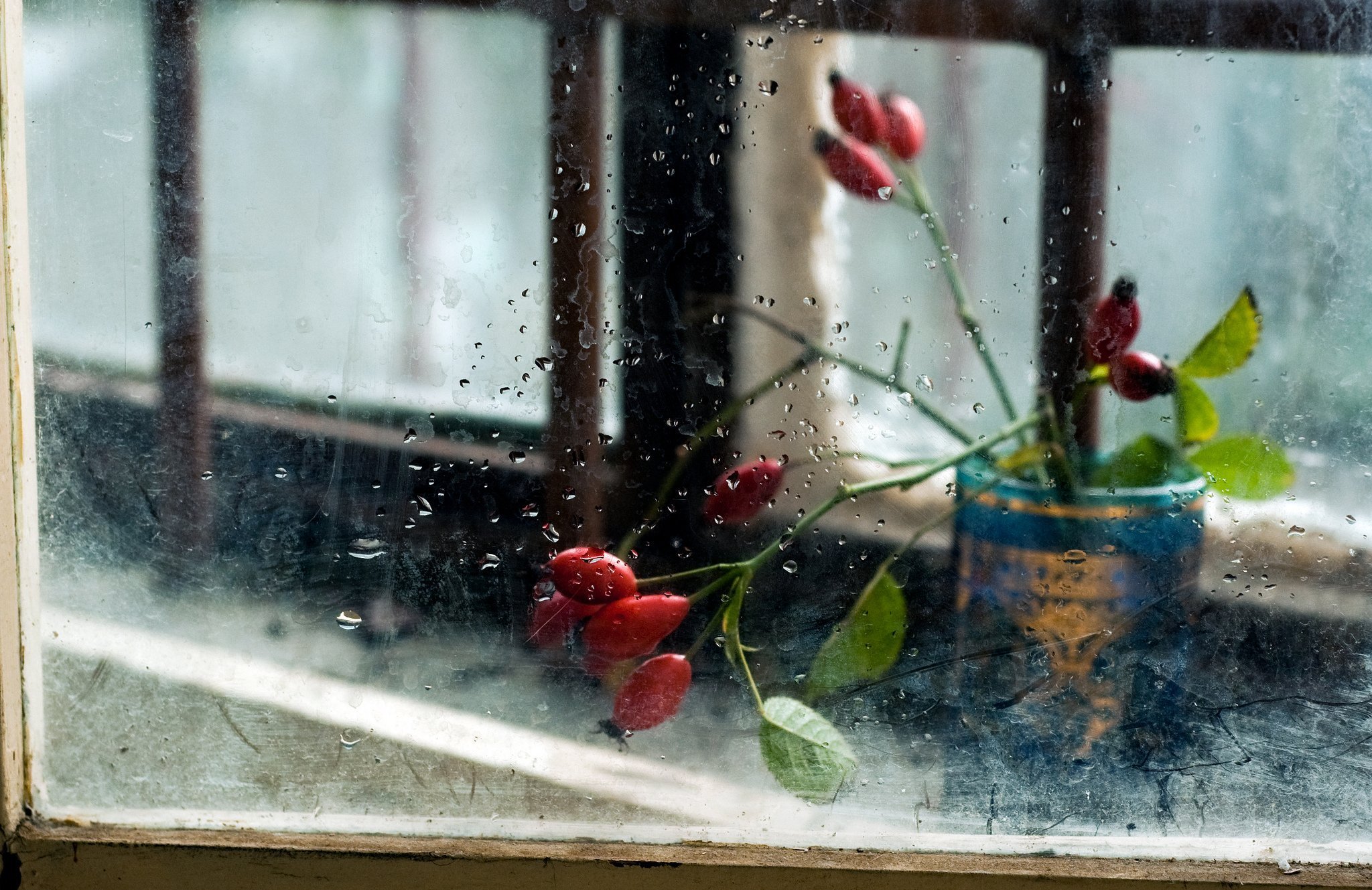 Капля грусти. Дождь за окном. Цветы на подоконнике. Дождь в окне. Весенние цветы на окне.