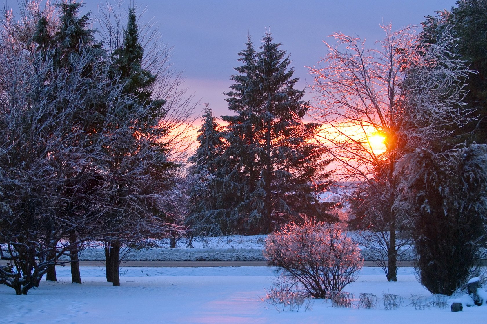 Ранний вечер время. Декабрь природа. Рассвет зимой. Зимний закат. Зима солнце.