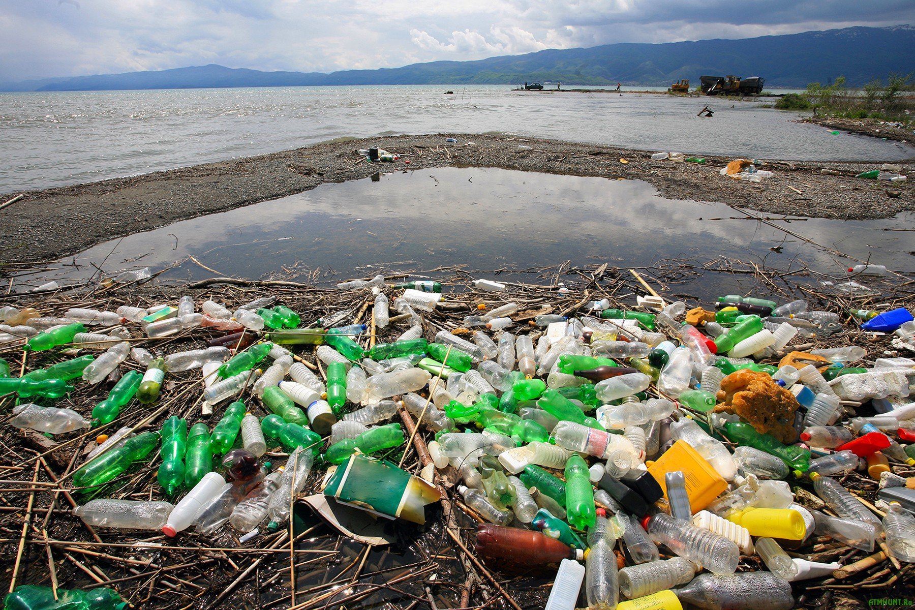 К чему приводит загрязнение окружающей среды. Загрязнение океана. Пластиковые бутылки в океане. Экологические проблемы. Засорение окружающей среды.