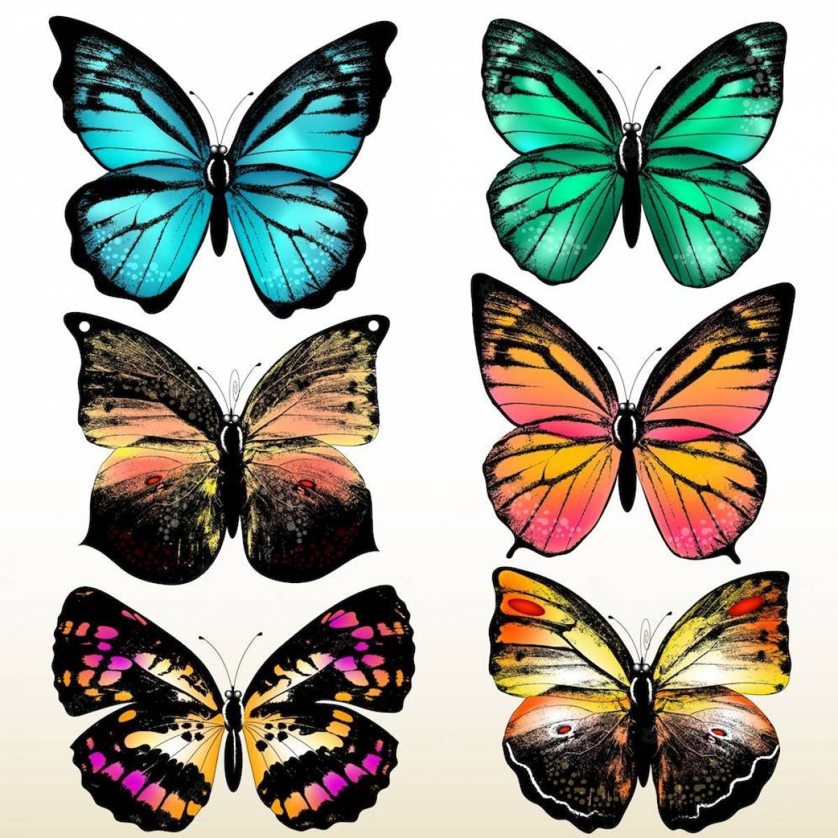Шаблон бабочек для печати. Разноцветные бабочки. Бабочки для вырезания цветные. Бабочки трафарет цветные. Цветные бабочки для печати.