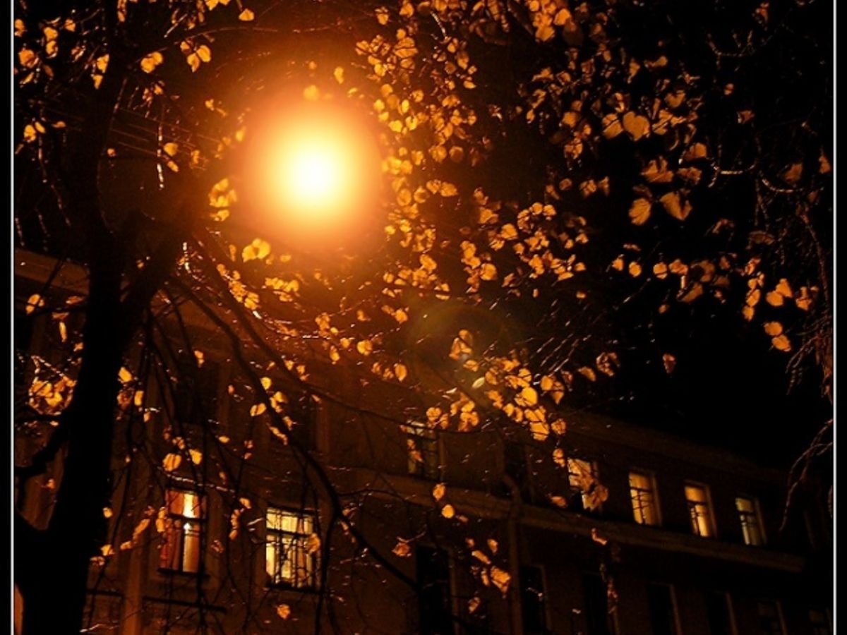 Однажды осенним вечером. Осенняя ночь. Осень ночь. Свет в окне. Теплой ночи.