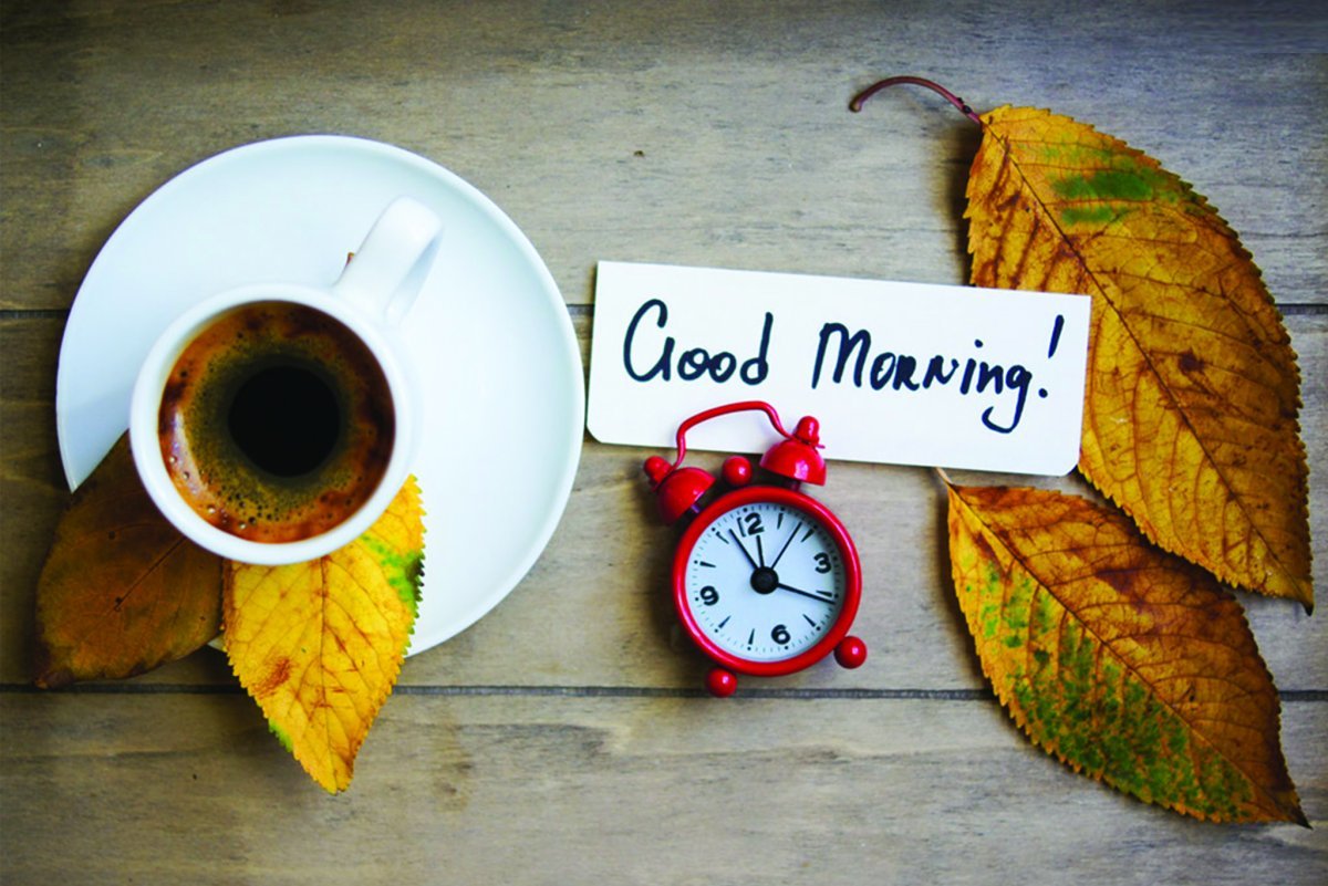 Осеннее утро картинки позитивные. Осеннее утро понедельника. Good morning осенние. Доброе утро понедельник осень стильные. Осенний понедельник бизнес картинки.