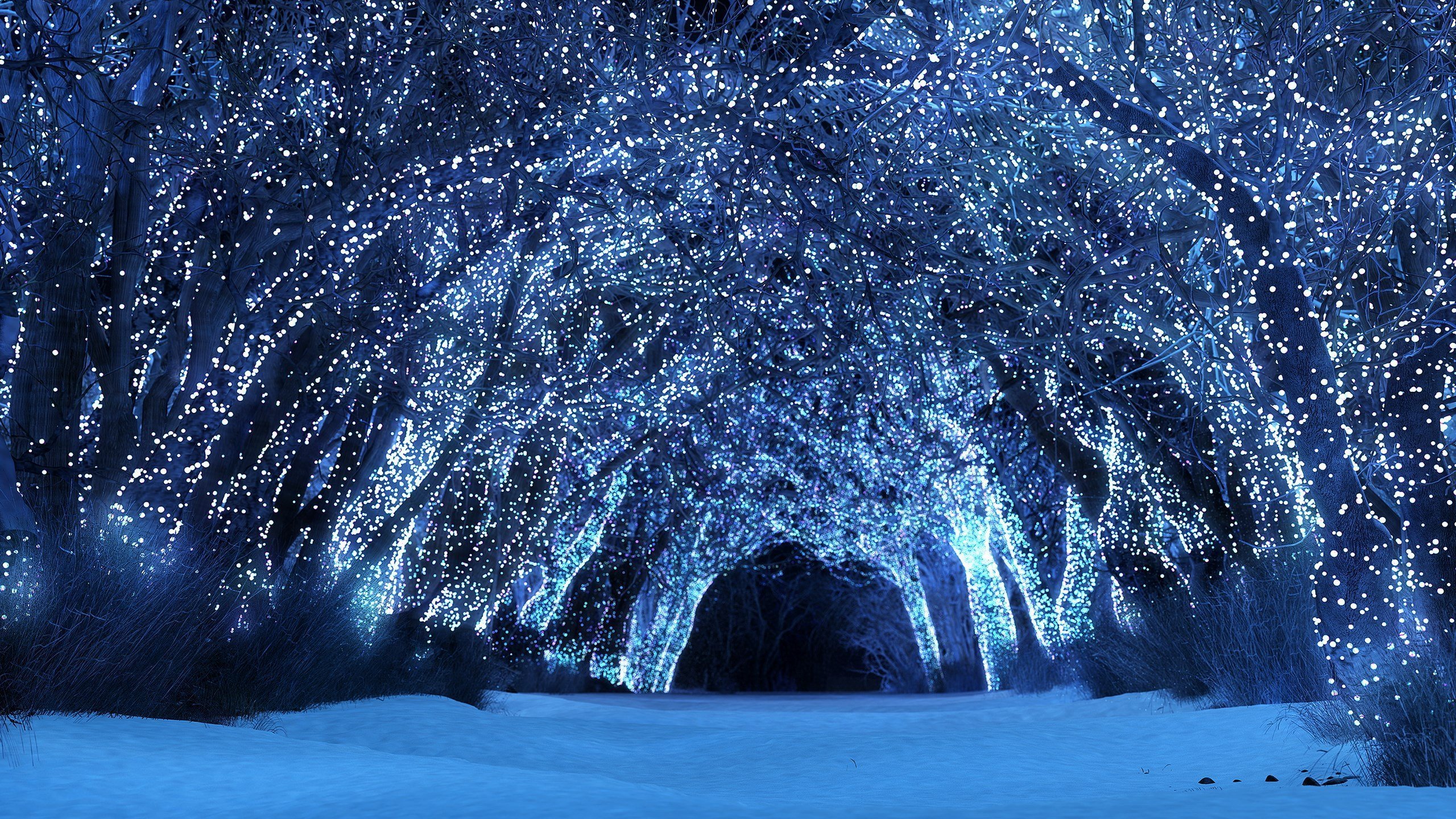 Снежок пк. Трансильвания Румыния зима 1024. Сказочный зимний лес. Сказочная зима. Красивая зима.
