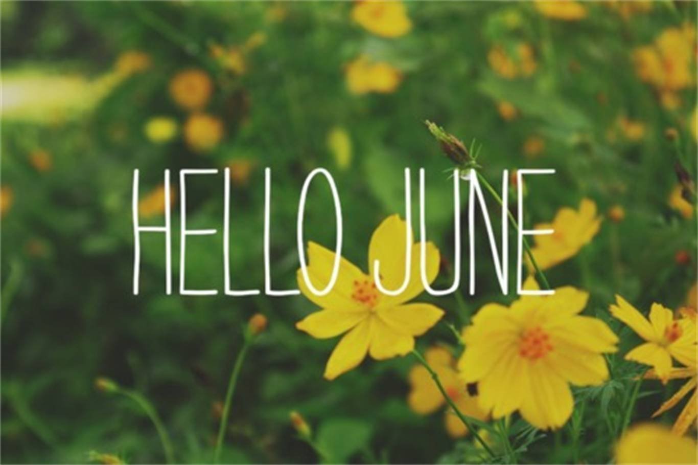 Лето на английском. Июнь надпись. Привет июнь. Привет лето. Июнь надпись красивая.