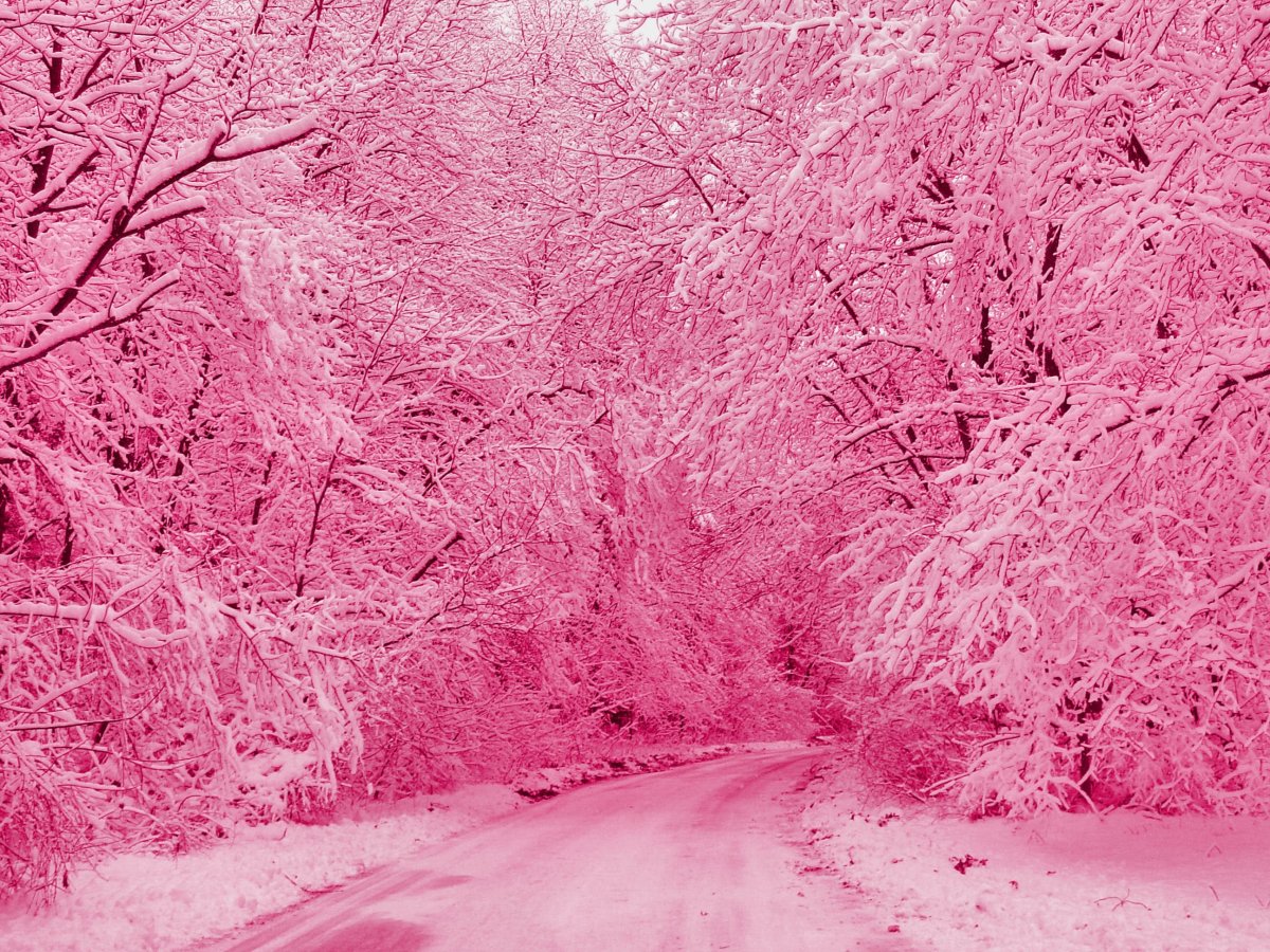 Зима в розовых тонах