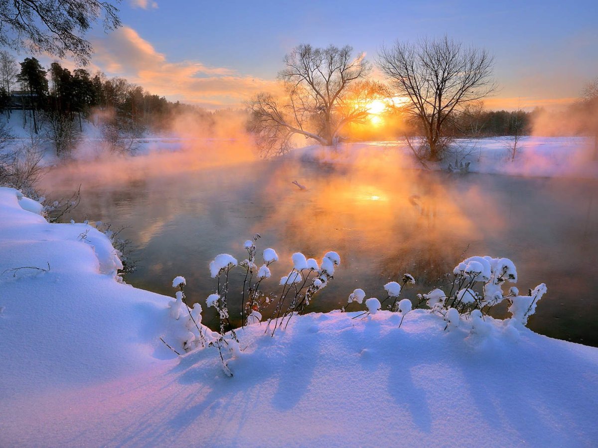 Доброе утро зимний пейзаж картинки